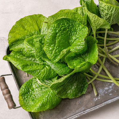 Namdo Wasabi Leaves